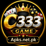 c333 game