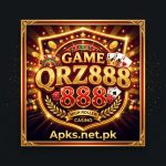QRZ888 Game